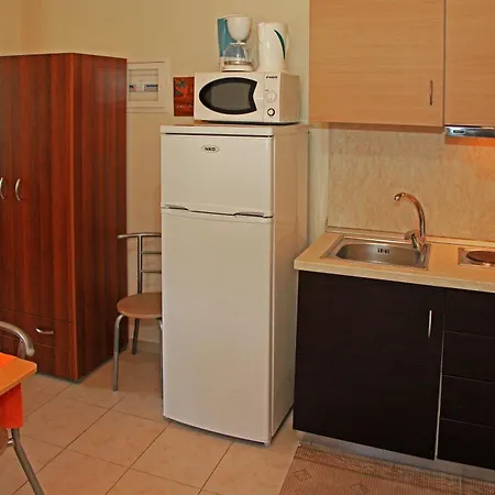 Dionysus Apartments & Suites Ierissos Room photo