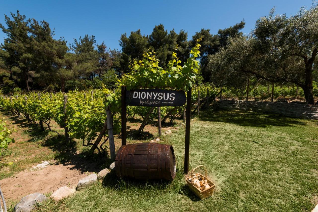 Dionysus & *