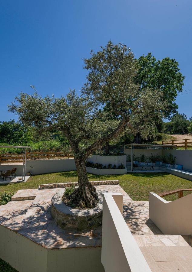 Dionysus & Appartement *