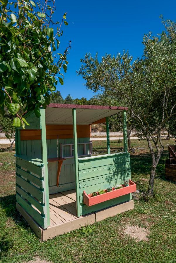Dionysus & Appartement Ierissós