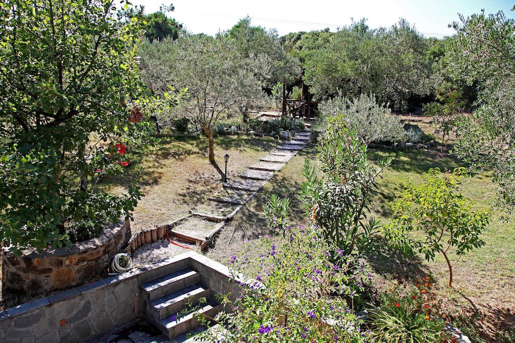 Dionysus & Ierissos