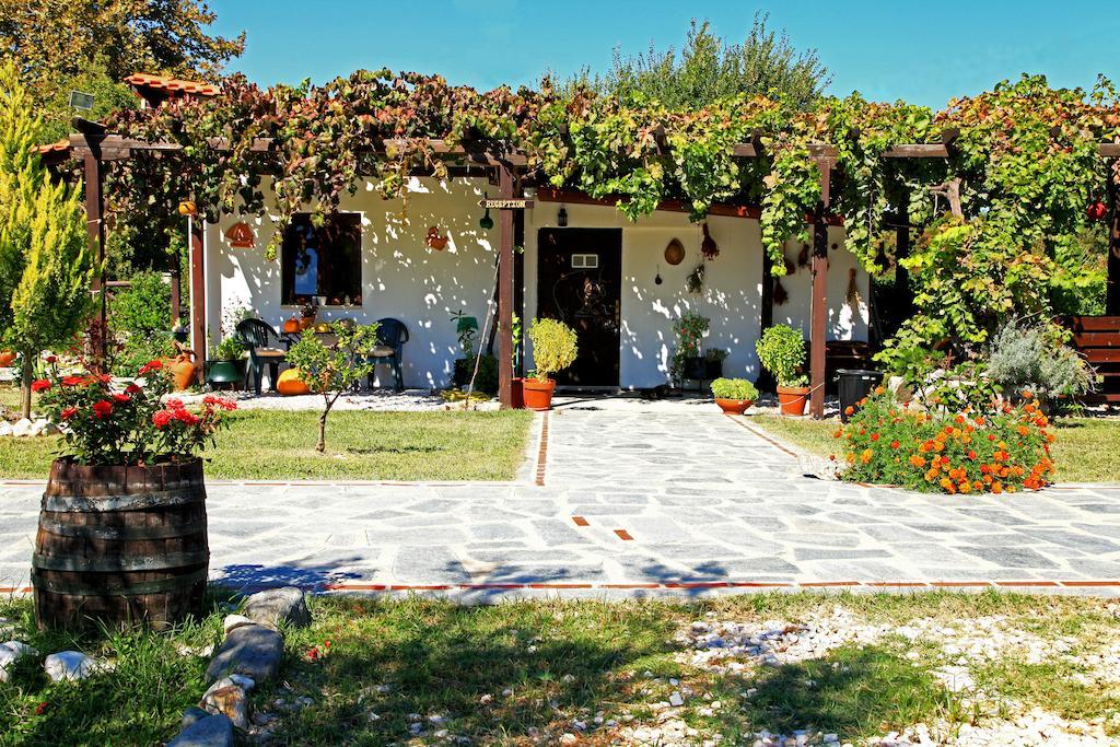 Apartment Dionysus &