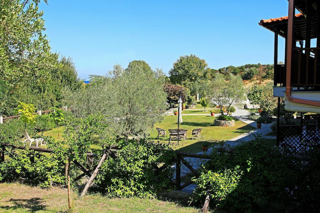 Dionysus & Ierissos