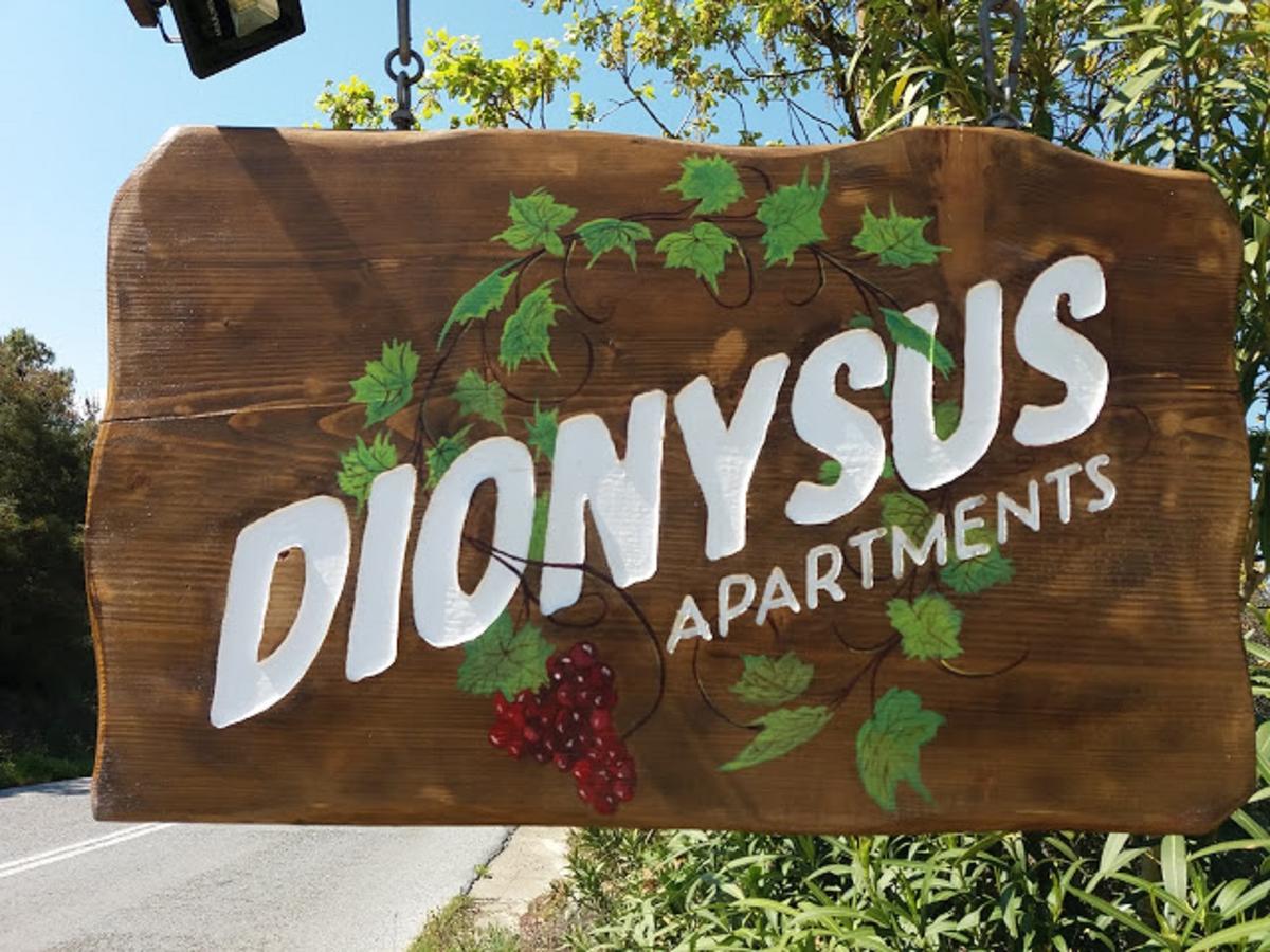 Apartment Dionysus & Ierissos