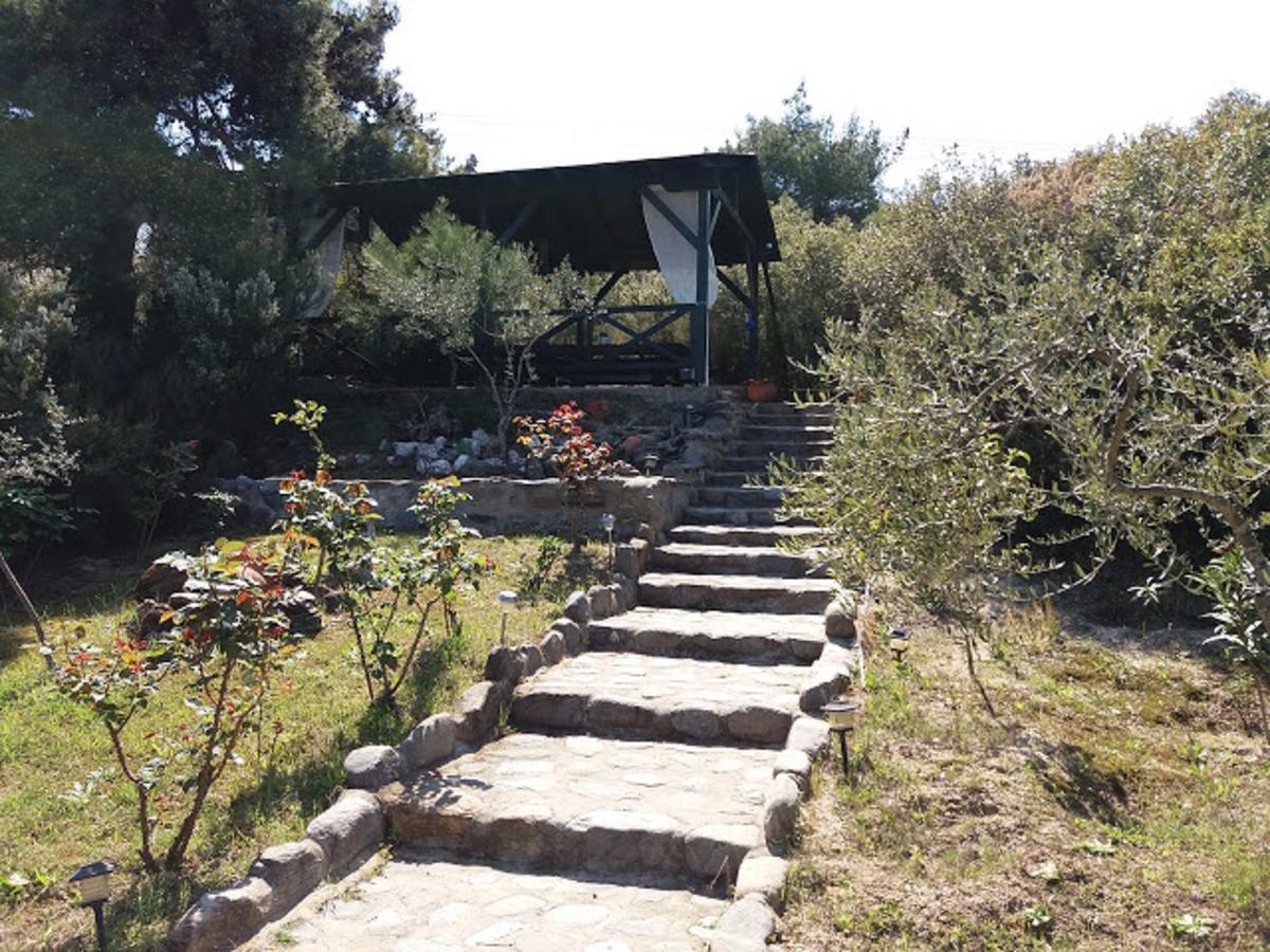 Dionysus & * Ierissos
